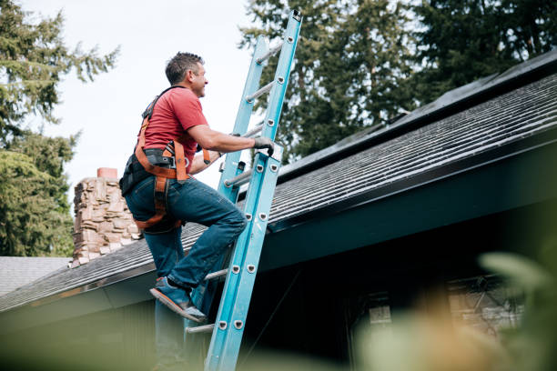 Best Asphalt Shingle Roofing  in Hornsby Bend, TX