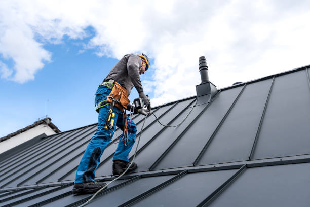 Best Roof Insulation Installation  in Hornsby Bend, TX